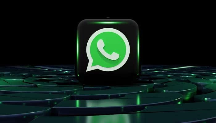 How can businesses use WhatsApp precision data for effective private marketing?